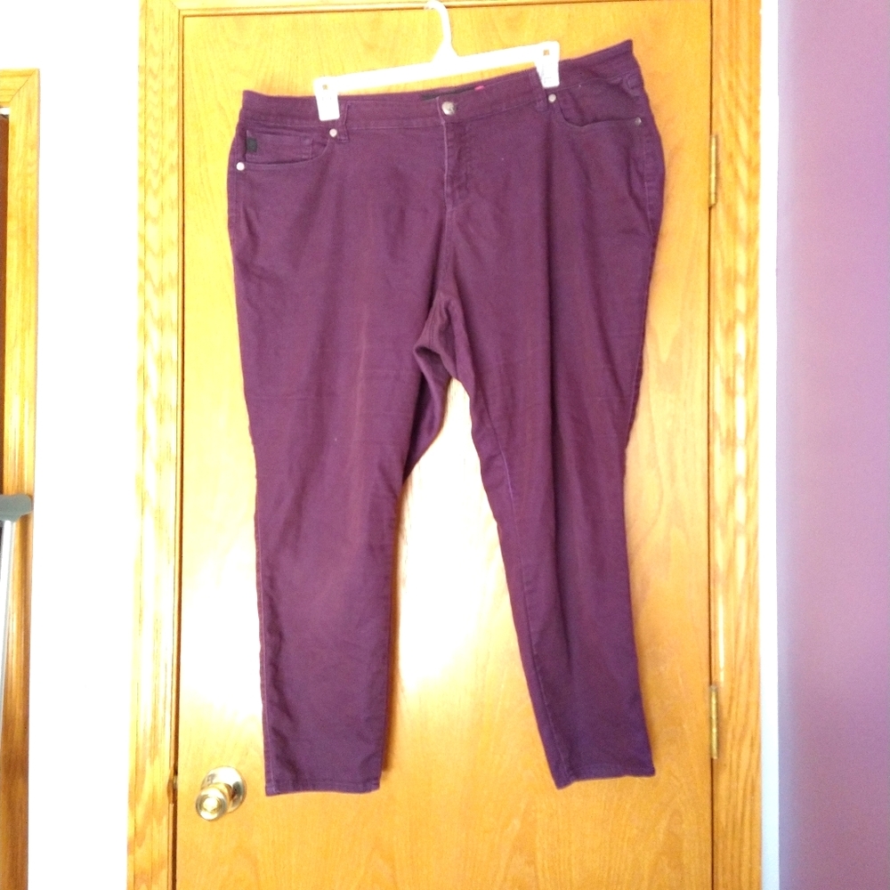 Torrid Plum Skinny Jeans